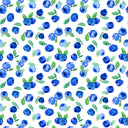 Blueberries W122