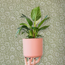 Kwiatowe Pnącze B145