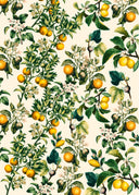 Lemon Vintage Wallpaper M30