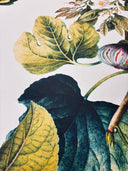 Lemon Vintage Wallpaper M30