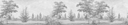 Panoramic Black and white forest decor M93