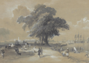 Sepia Tree Vintage Painting, Peel and Stick Wallpaper M24