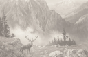 Vintage Deer Landscape W257